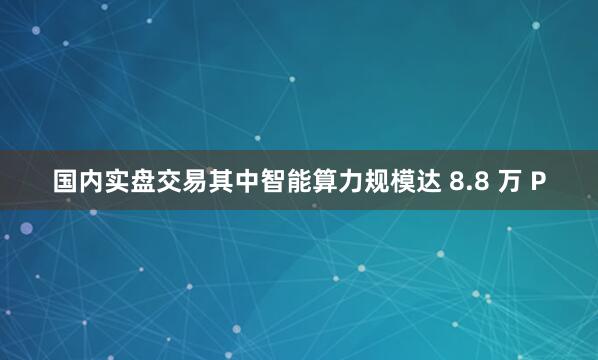 国内实盘交易其中智能算力规模达 8.8 万 P