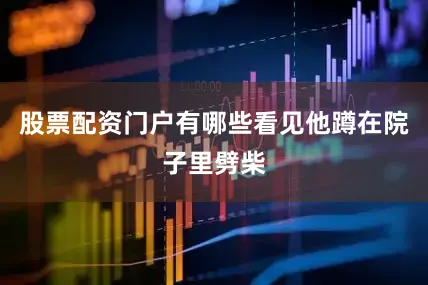 股票配资门户有哪些看见他蹲在院子里劈柴