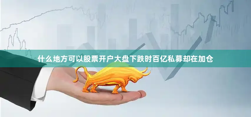 什么地方可以股票开户大盘下跌时百亿私募却在加仓